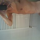 Sander81